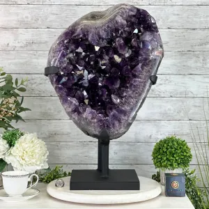 Amethyst Cluster on a Metal Base, 74.3 lbs & 23.5" Tall, #5491-0151