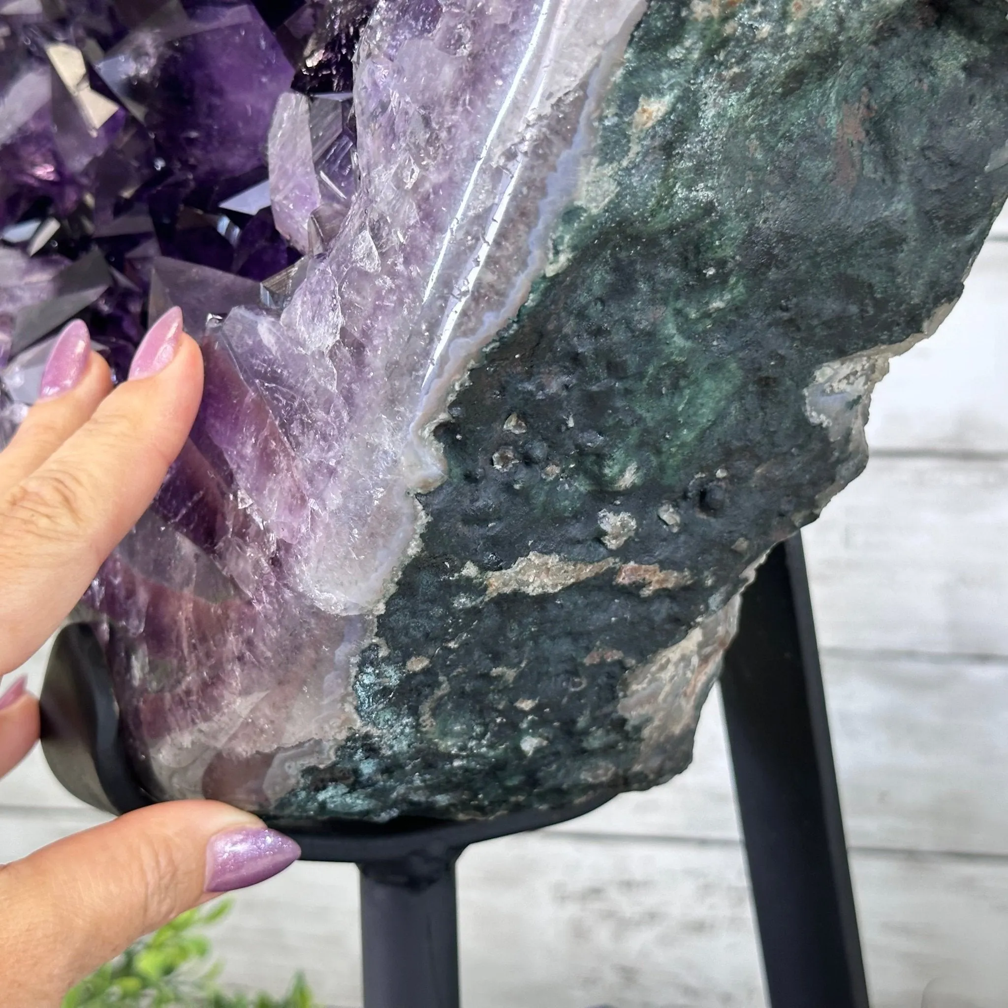 Amethyst Cluster on a Metal Base, 74.3 lbs & 23.5" Tall, #5491-0151