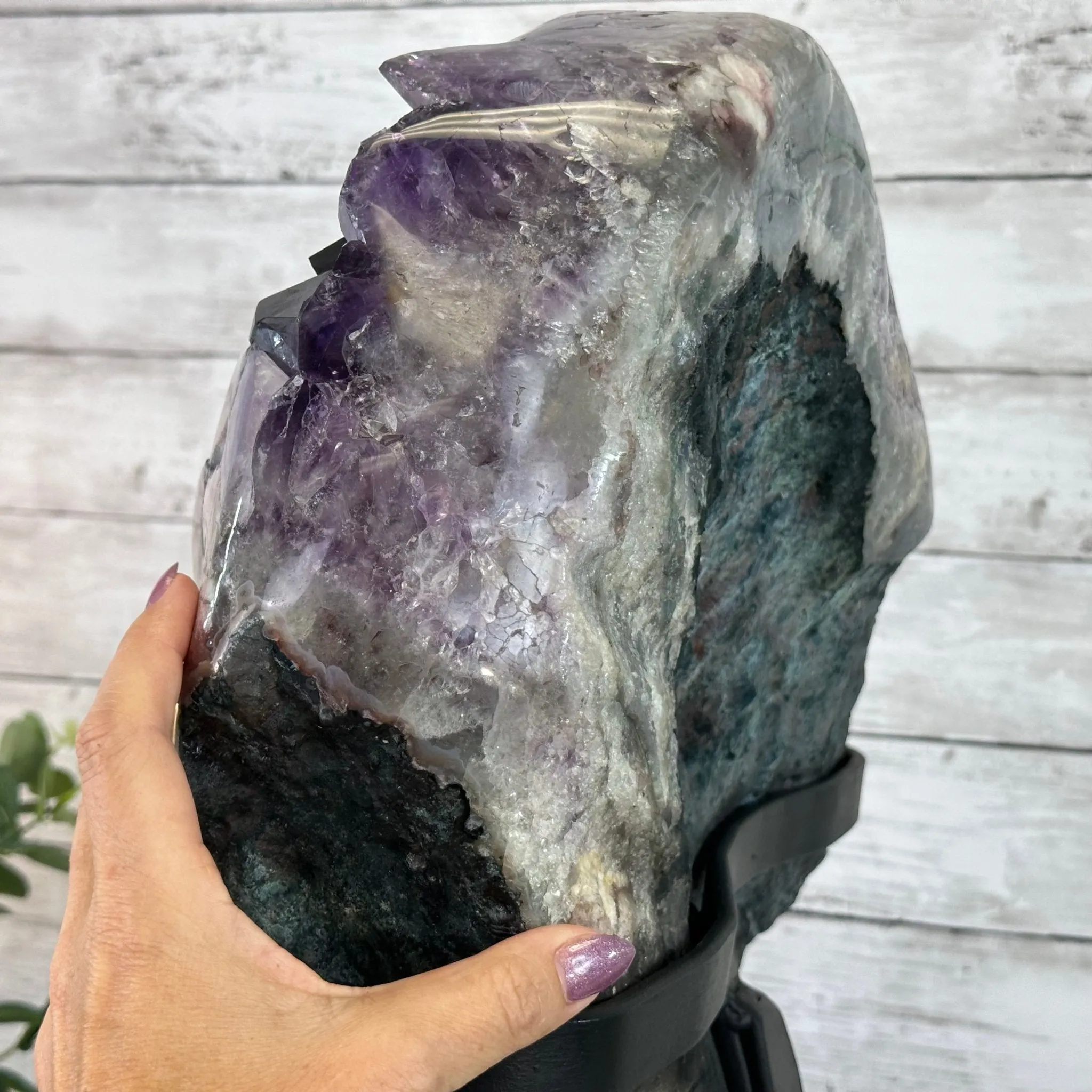 Amethyst Cluster on a Metal Base, 74.3 lbs & 23.5" Tall, #5491-0151
