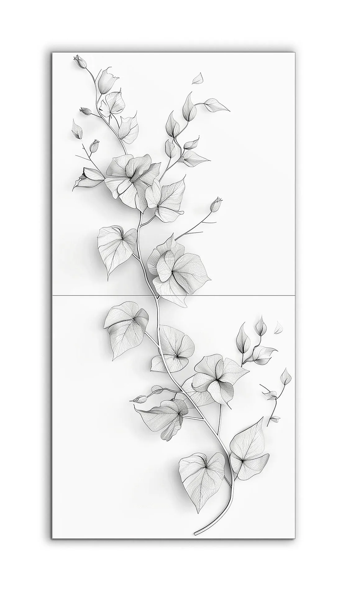 Graceful Vine: Monochrome Botanical Art
