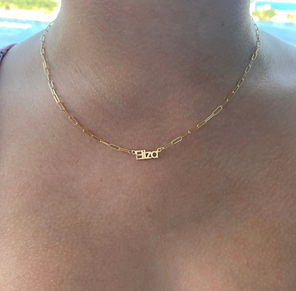 The Eliza Link Necklace