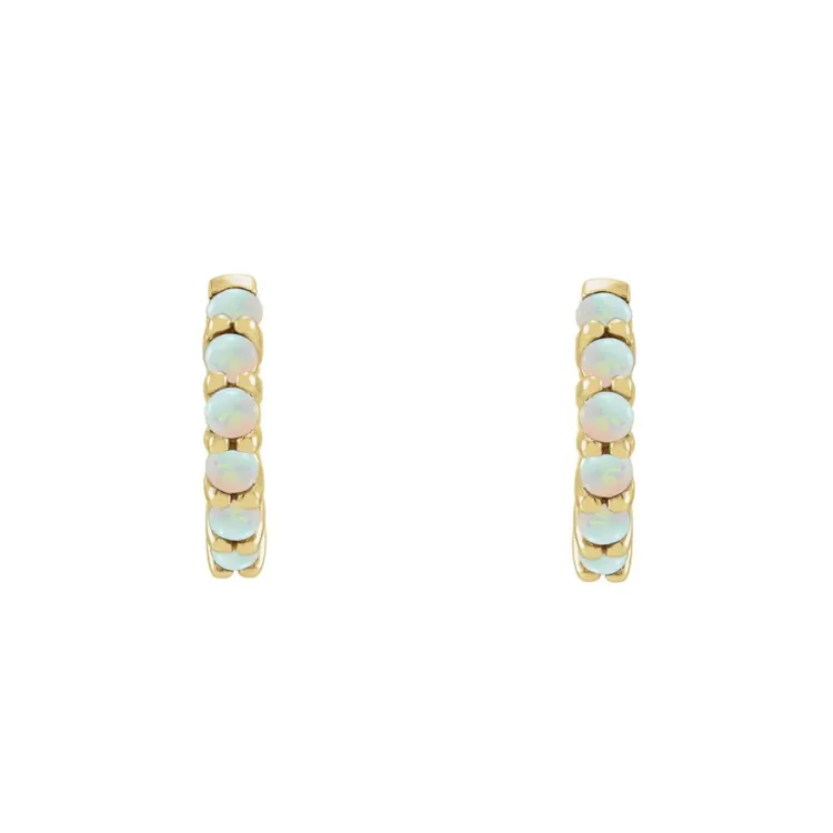 The JOPLYN Hoop Earrings