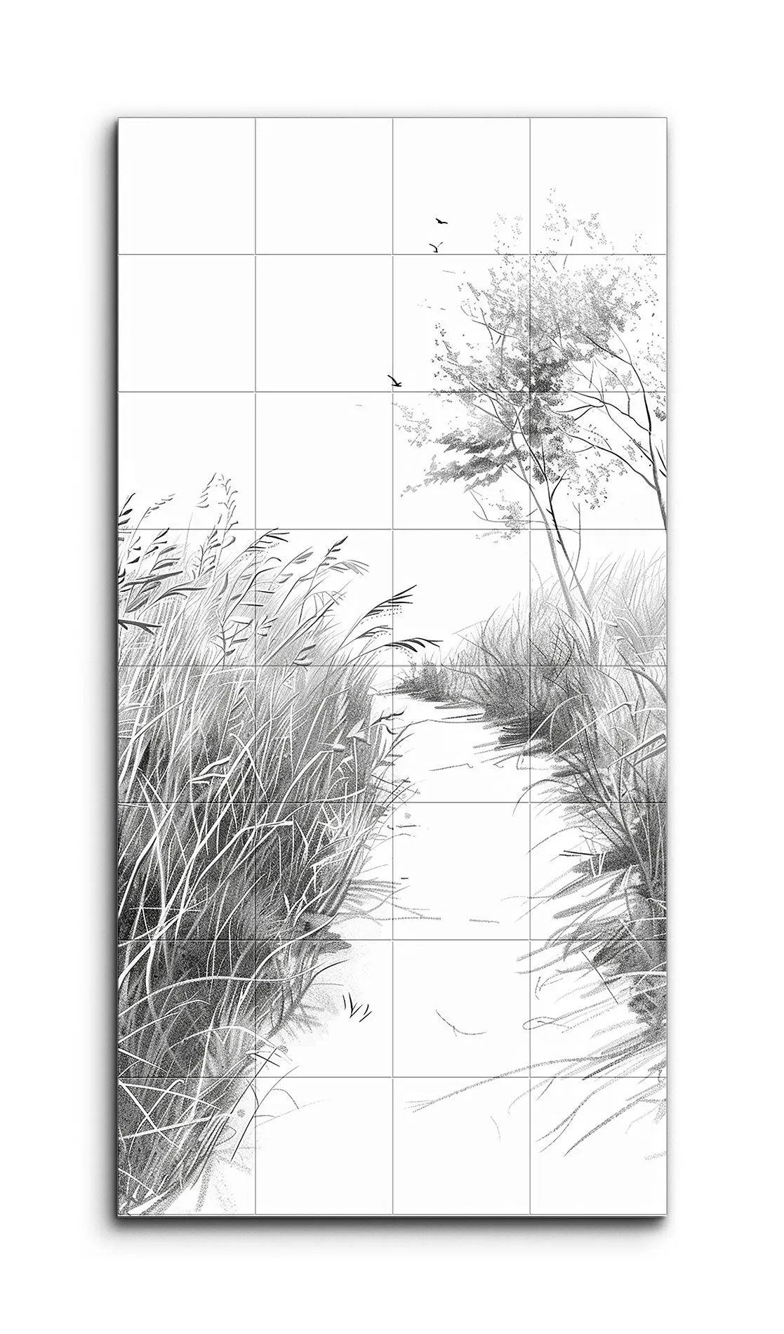 Tranquil Path Through Monochrome Grasses