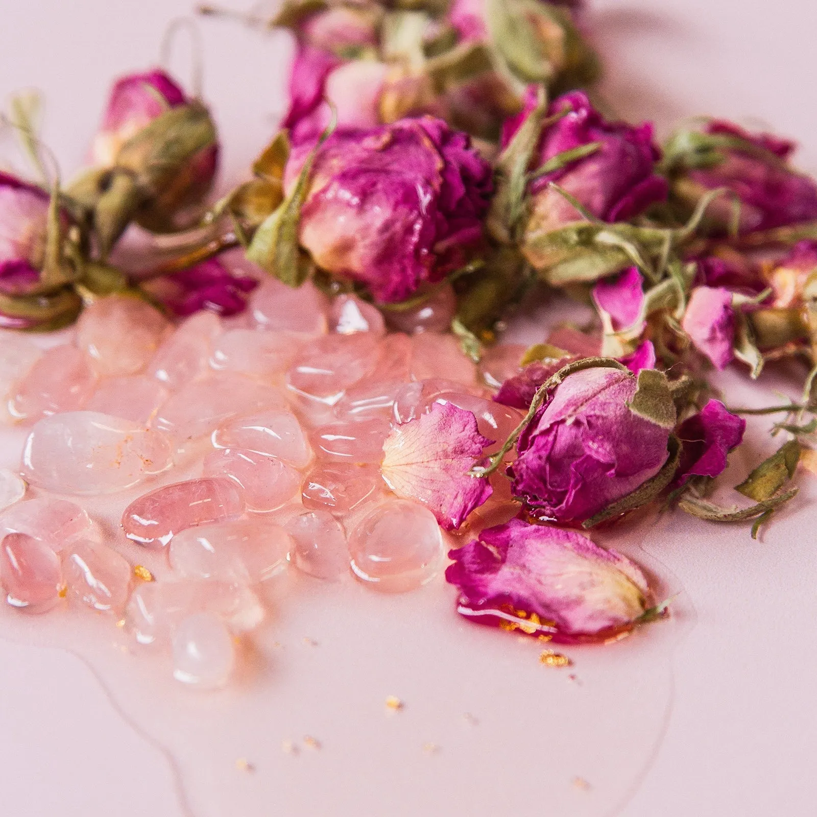 Wild Rose Face & Body Oil 100ml
